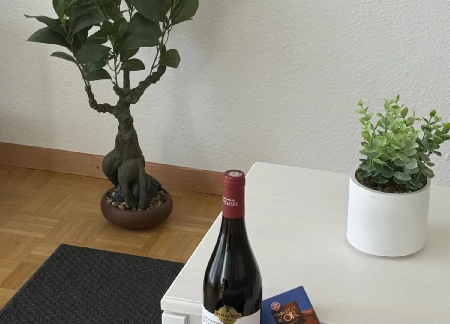 公寓 Amazing Location Geneva , Eauv-Vives公寓 瑞士